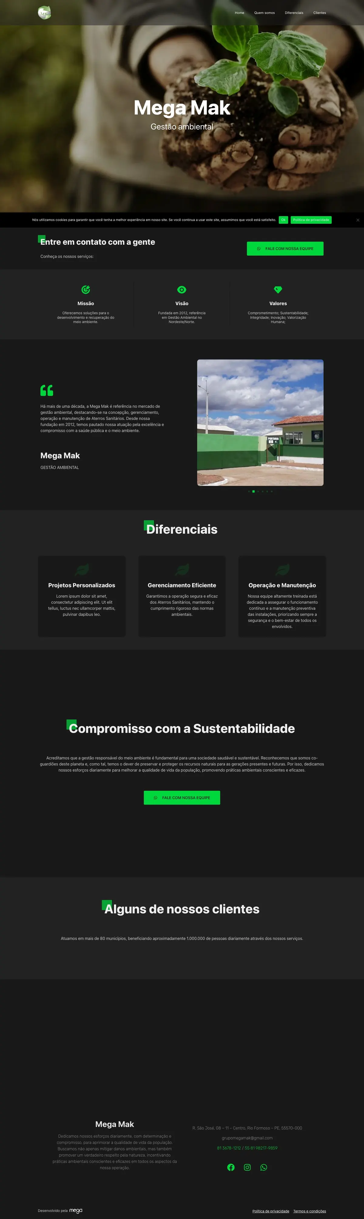 Site Mega Gestão Ambiental, página completa